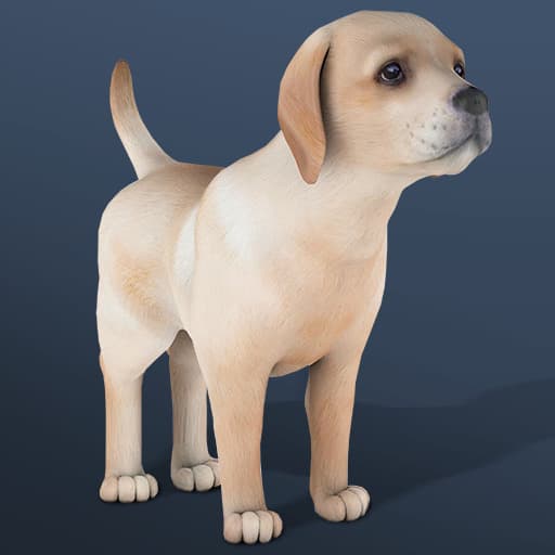 IDLE Pet Image