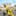 TPS Gun War Shooting Games 3D