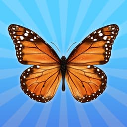 MergeButerfly: 2048!