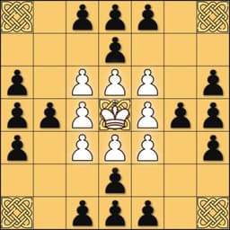 Tafl: viking chess