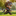 Shadow Chase