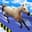 Animal Impossible Track Rush
