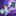 Murder Case Clue 3D