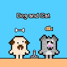 Dog and Cat 